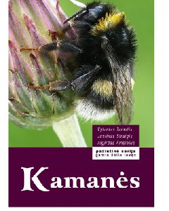 kamanes